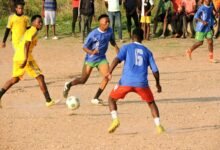 daily sports outcomes update