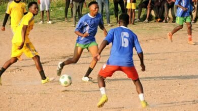 daily sports outcomes update