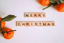 free blox fruit account information