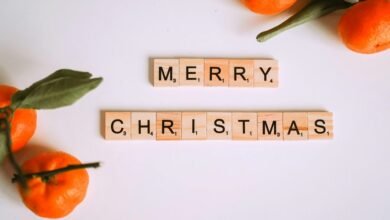 free blox fruit account information