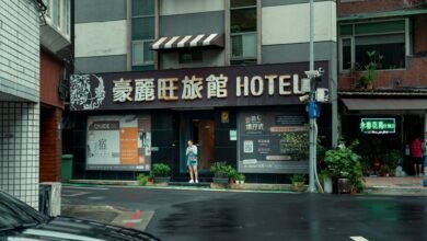 harem hotel cheat codes guide