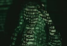 harem hotel overview guide