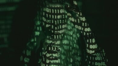 harem hotel overview guide