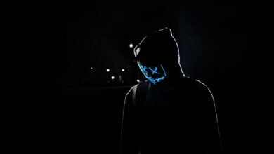 stylish digital identity platform