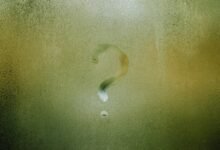 understanding fetlife s significance