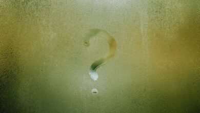 understanding fetlife s significance