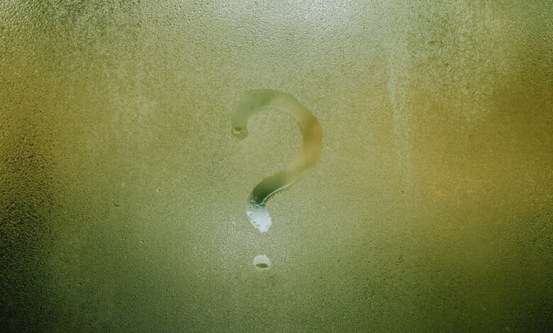 understanding fetlife s significance