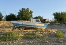 username s unique allure explored