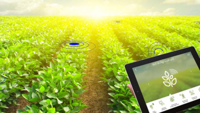 Smart Farming: The Role of AI and IoT in Agriculture