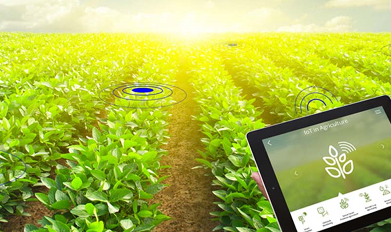 Smart Farming: The Role of AI and IoT in Agriculture
