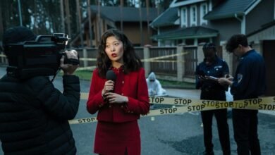 caller investigation report details