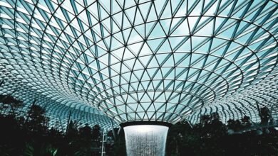 dynamic engine at vortex