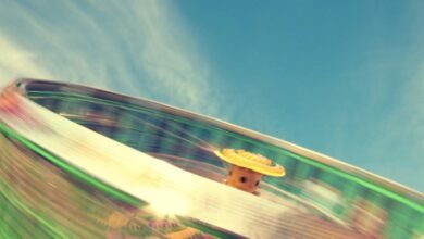 momentum revenue surge loop