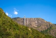 transformational growth planning model