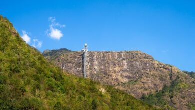 transformational growth planning model