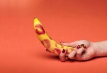 sexual education beginner guide